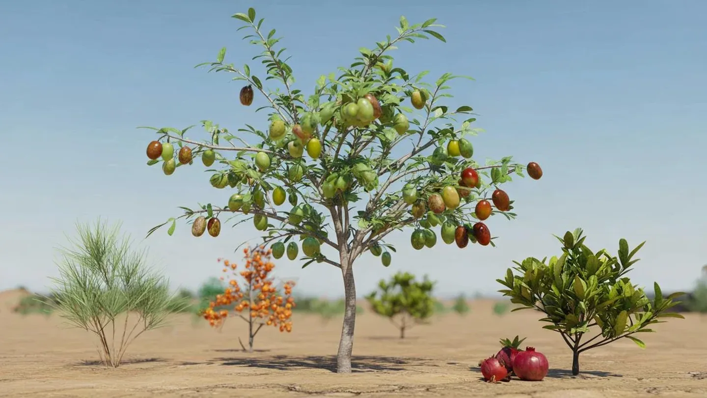 Questo albero asiatico resiste alla siccità come un cactus: il metodo semplice per avere frutti senza irrigare